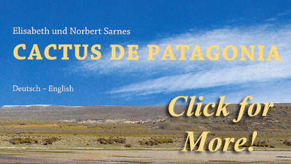 Cacti of Patagonia - Sarnes