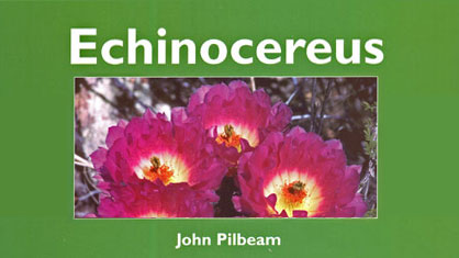 Echinocereus Pilbeam