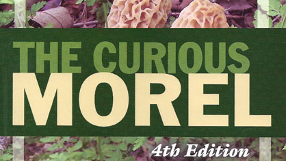 The Curious Morel - Larry Lonik