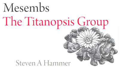 Mesembs - Titanopsis Group Hammer
