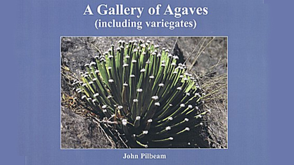A Gallery of Agaves - Pilbeam