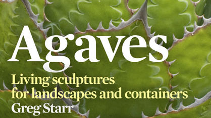 Agaves - Greg Starr