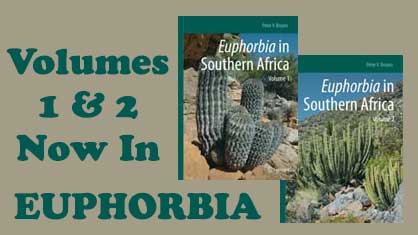 Ephorbia soutnern africa bruyns