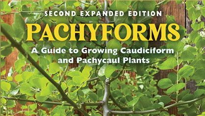 pachyforms