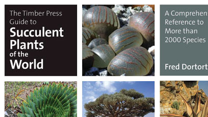 Succulent Plants of the World - Dohort